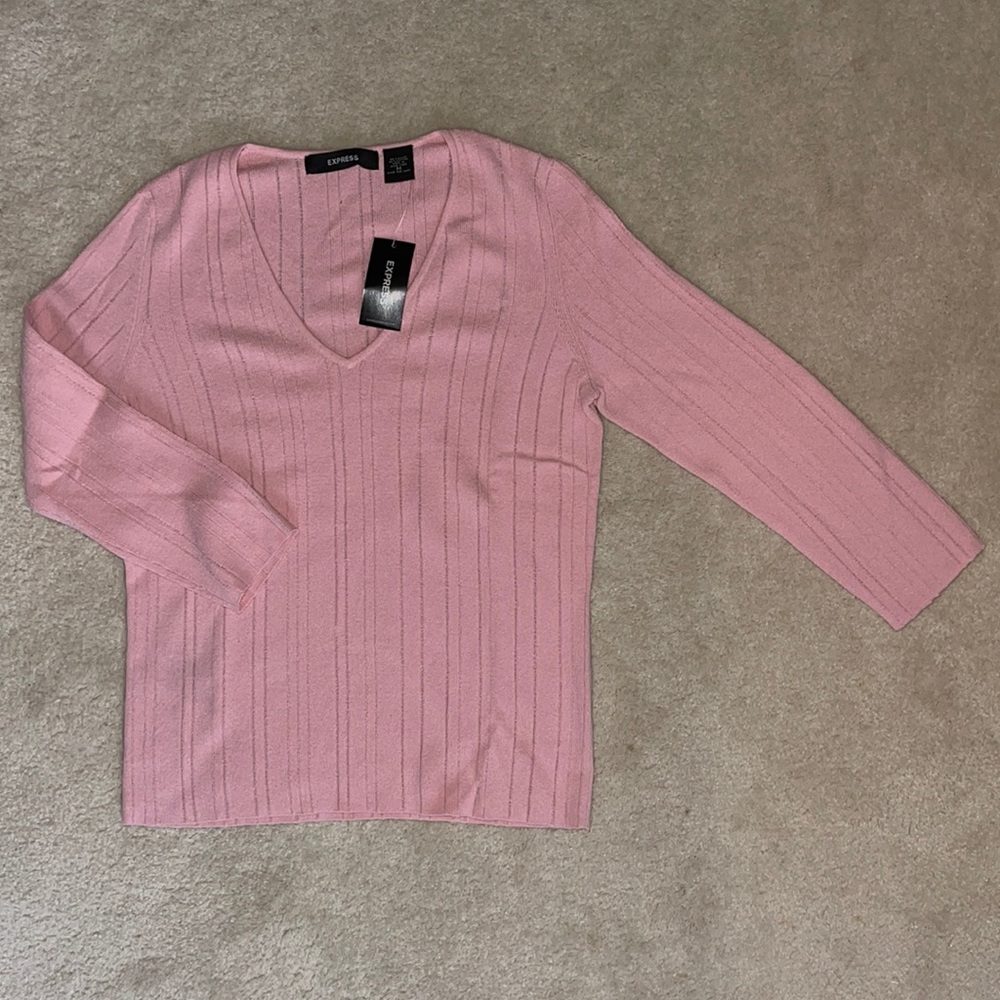 Express V-neck Sweater